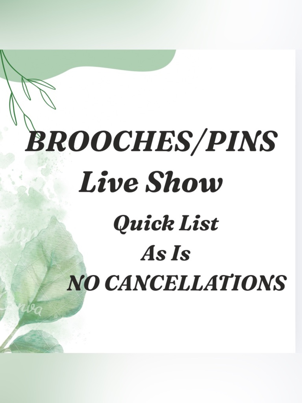 Brooches / Pins Live Show   Quick List     As Is        NO CANCELLATIONS